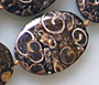 Snail Fossil